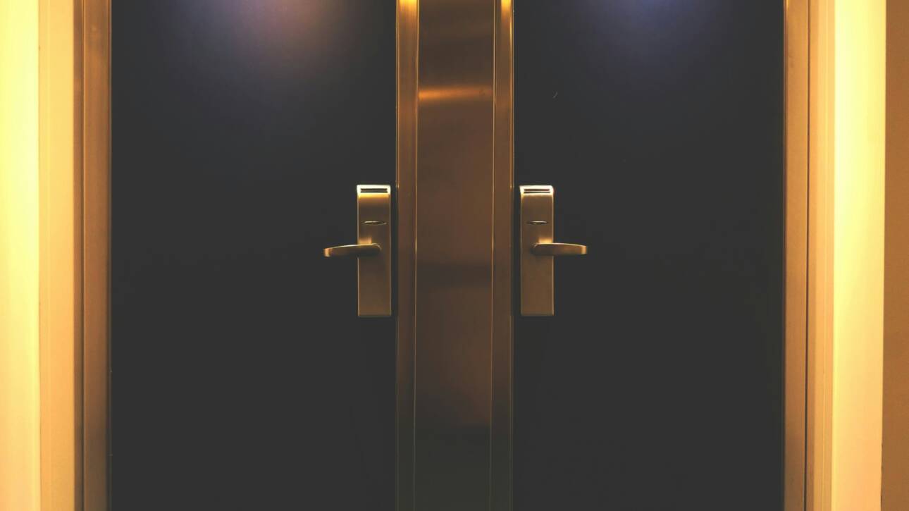 Flush doors
