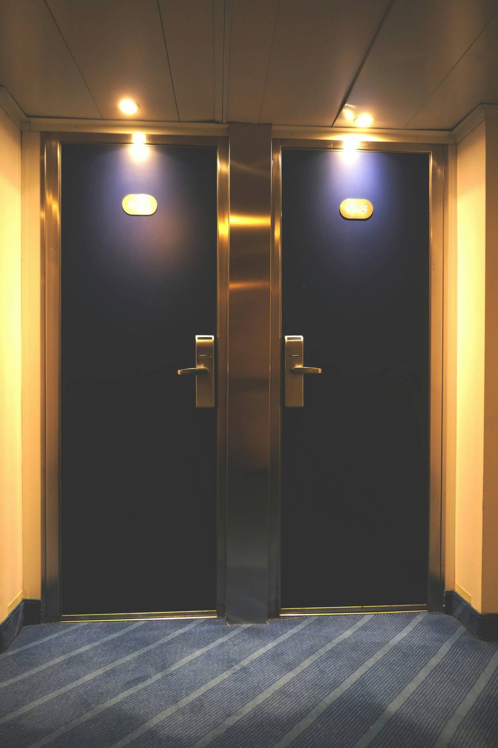 Flush doors